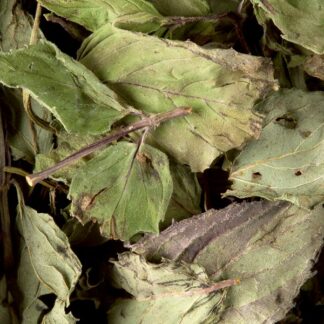 TISANE MENTHE POIVRÉE