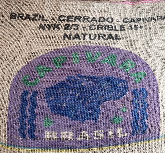 BRÉSIL "Capivara"