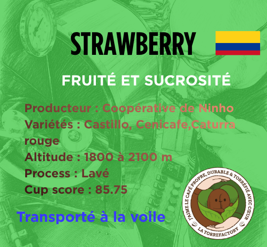 COLOMBIE - STRAWBERRY