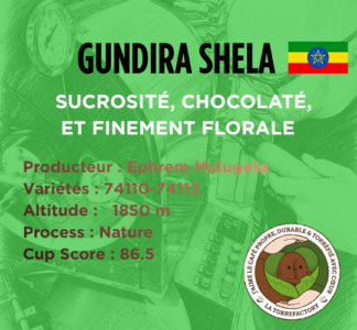 ETHIOPIE - GUNDIRA SHELA