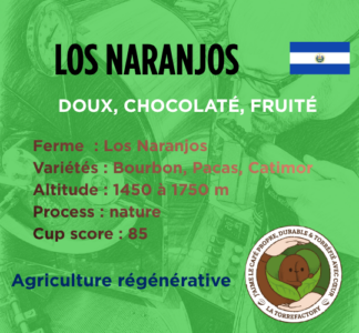 SALVADOR - LOS NARANJOS